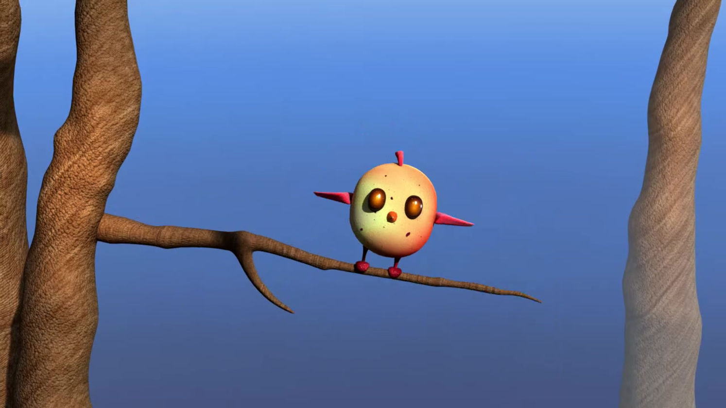 Funny Bird Animation